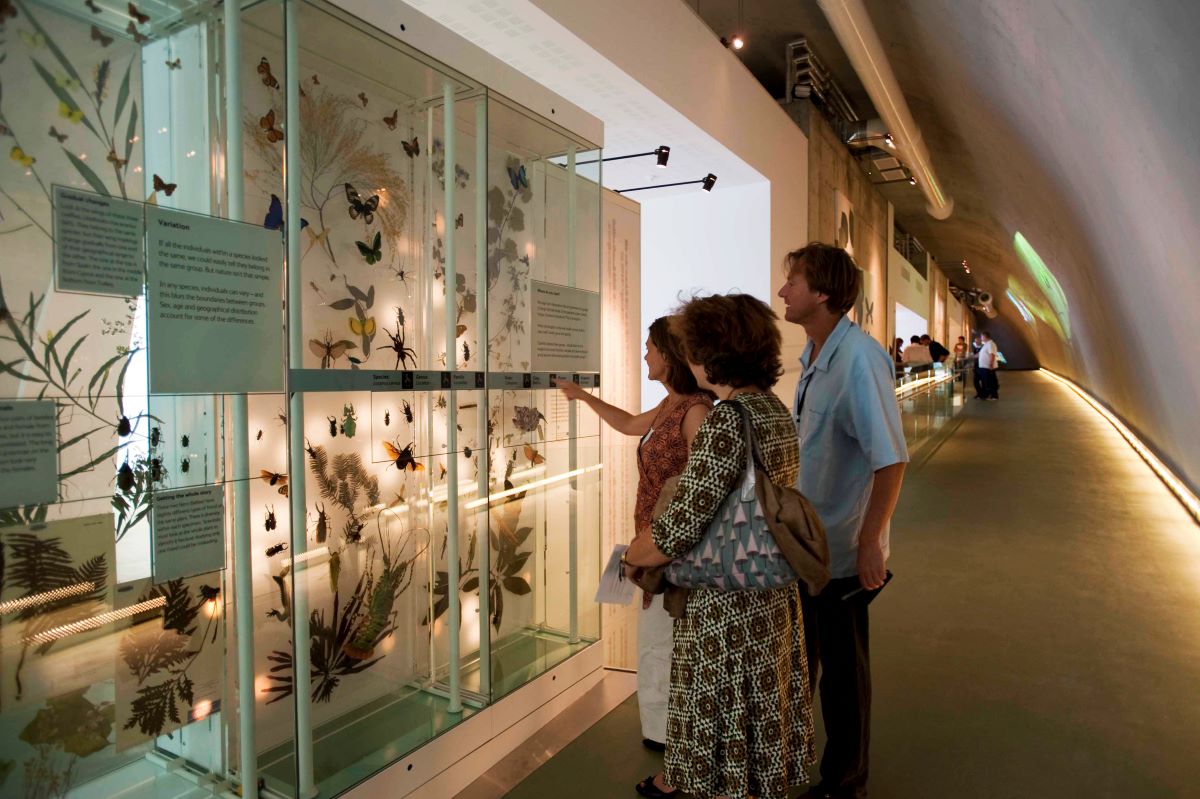 Natural History Museum