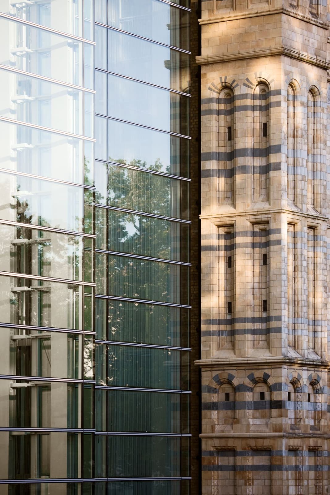 Natural History Museum